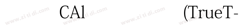 081 CAl978 常规 (TrueT字体转换